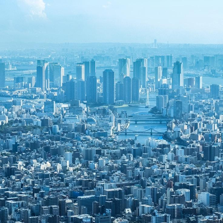 Family routine and school logistics in Paris